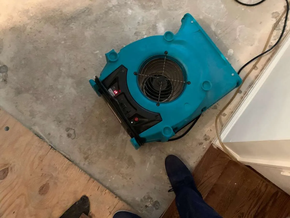 Air mover drying subfloor during Leak Detection & Repair in Williams